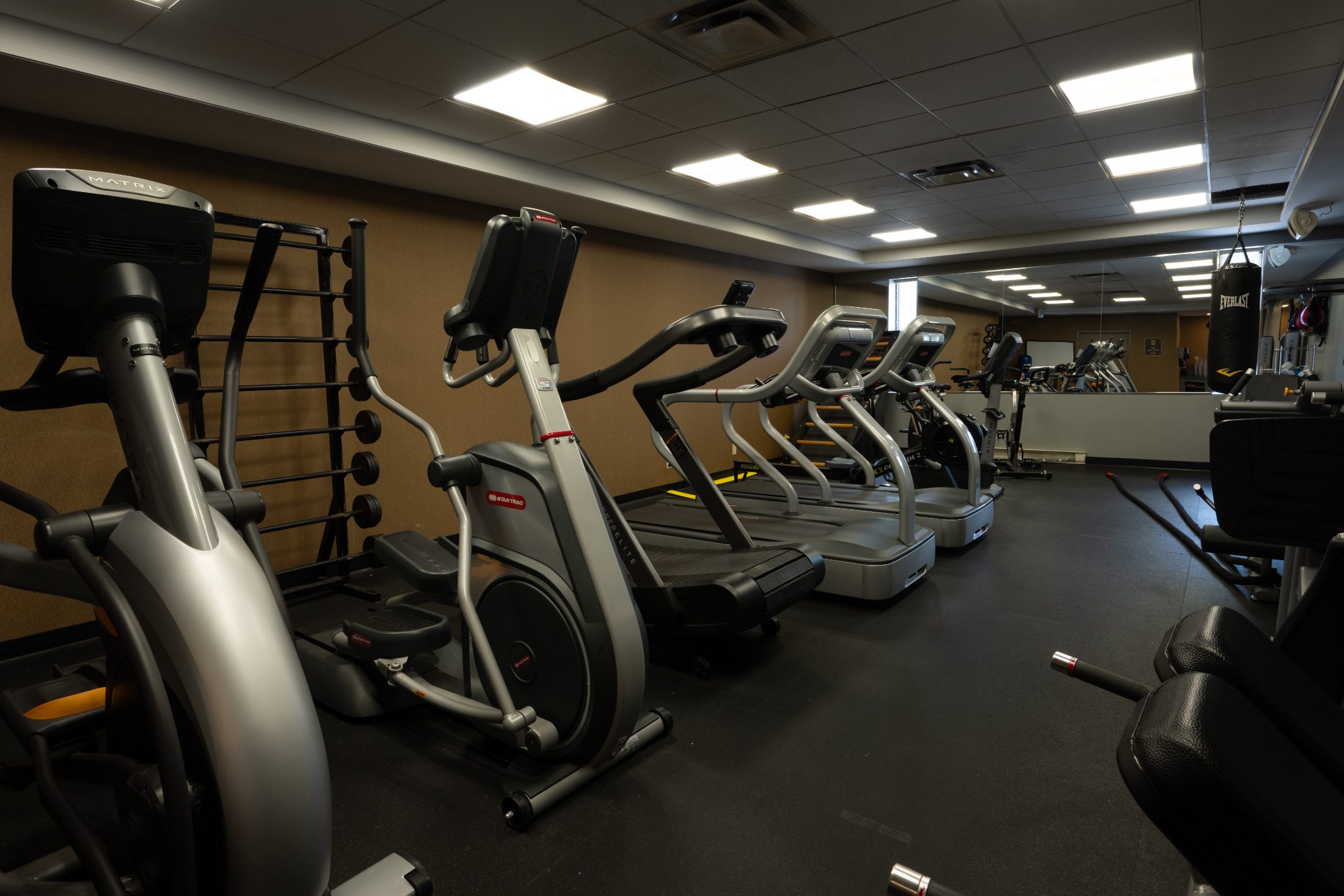 The cardio line in the club gym